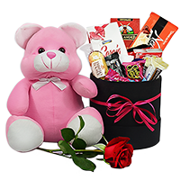 Combo Caixa Box Goi�nia com Rosa e Urso