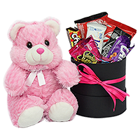 Mini Caixa Box Goi�nia com Urso